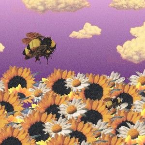 Meet your Posher, Bailey